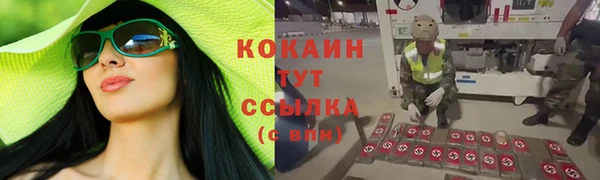 дживик Алексеевка