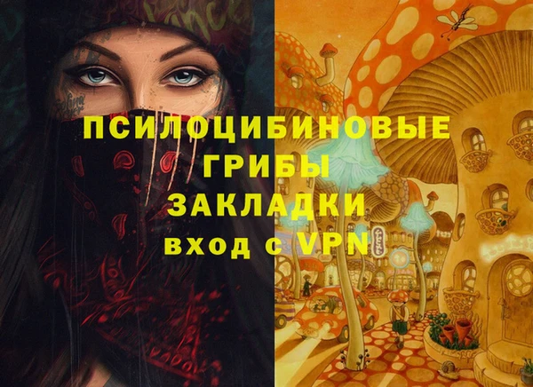 дживик Алексеевка